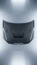 Alpha-Style Real Carbon Fiber Hood for VW Polo | Premium Aggressive Styling